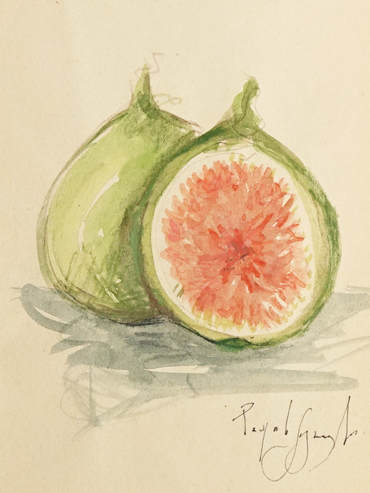 Nature and Still Life